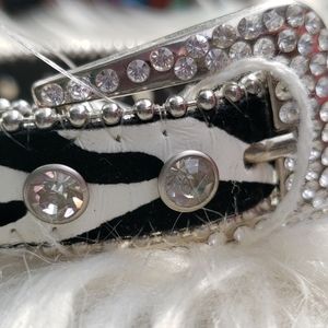 #MediumSized #ZebraPrint #Blingy #DogCollar